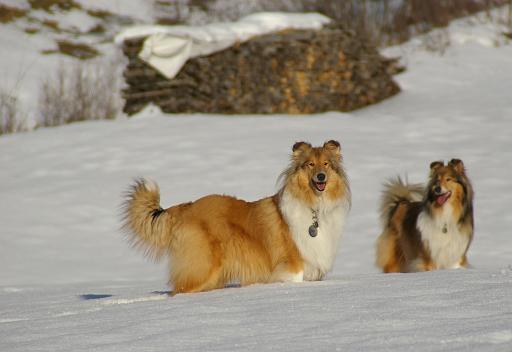 Fotos f. Homepage Galerie 036